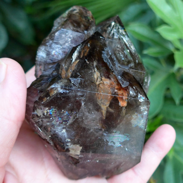 Smoky Skeletal Quartz Elestial Cluster