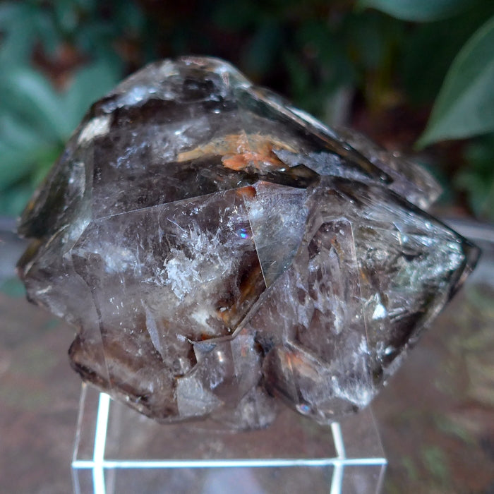Smoky Skeletal Quartz Elestial Cluster