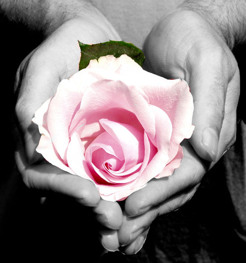 Rose in Hand T-Shirt Women's Small