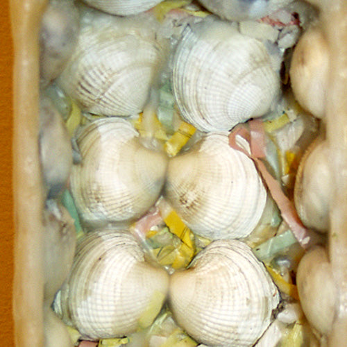 Shell Box