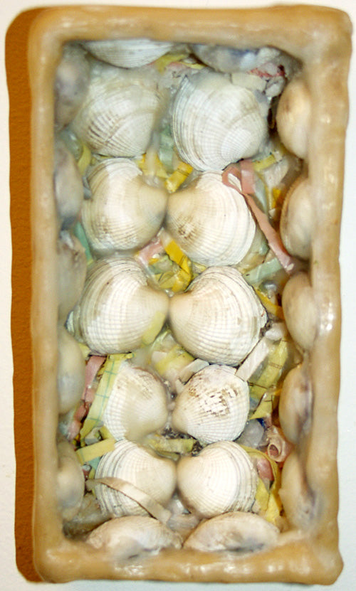 Shell Box
