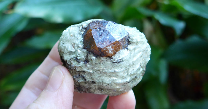 Spessartine Garnet in Mica Matrix