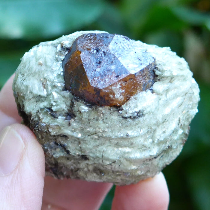 Spessartine Garnet in Mica Matrix