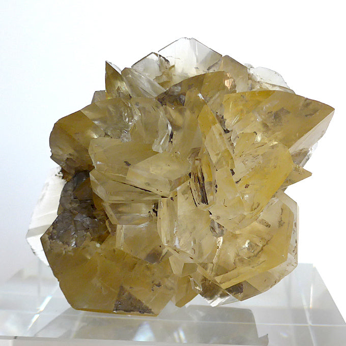 Starburst Winnipeg Selenite Specimen