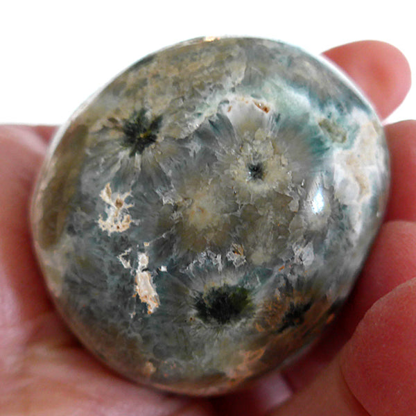 Speckled Earth Tones Ocean Jasper Egg