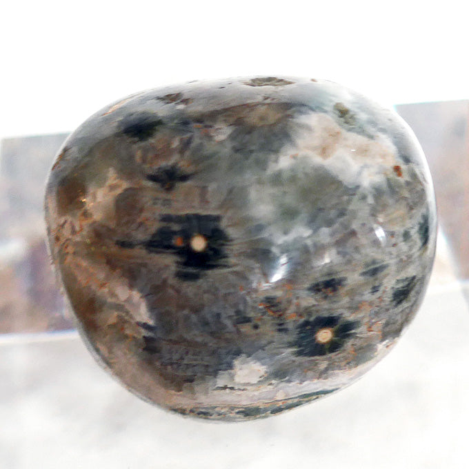 Speckled Earth Tones Ocean Jasper Egg