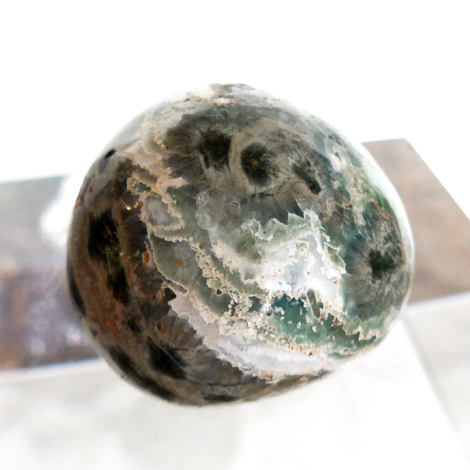 Speckled Earth Tones Ocean Jasper Egg