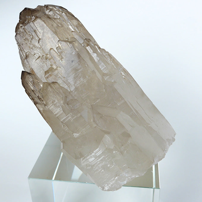 AAA Giant Smoky Citrine Elestial Cathedral